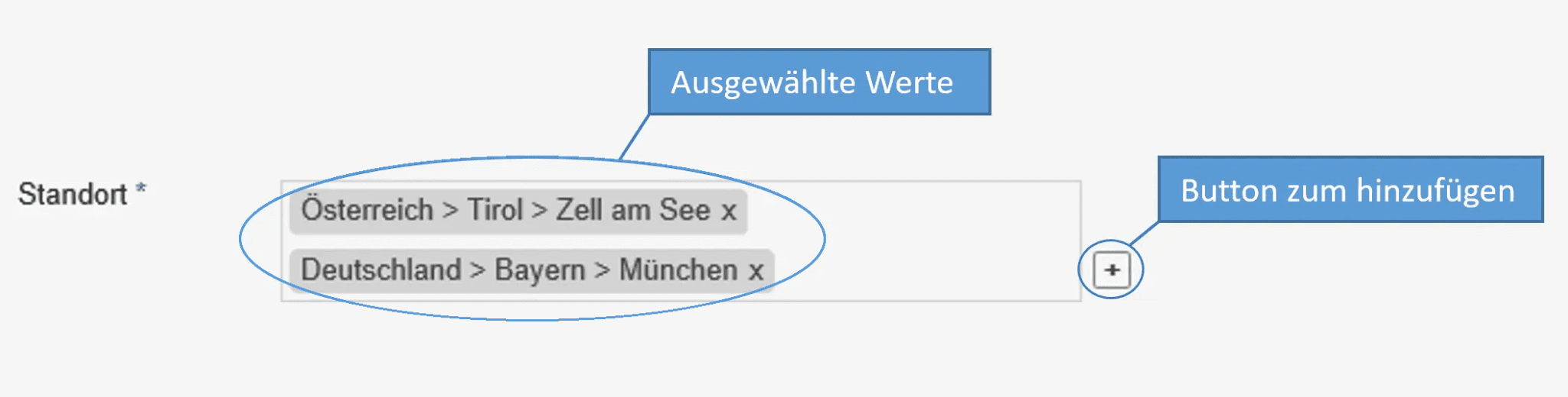 Final result showing the dropdown with multi-select and actions