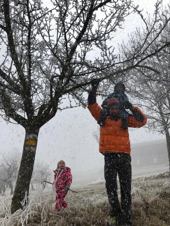 microadventureforkids - wir befreien die Bäume vom Schnee