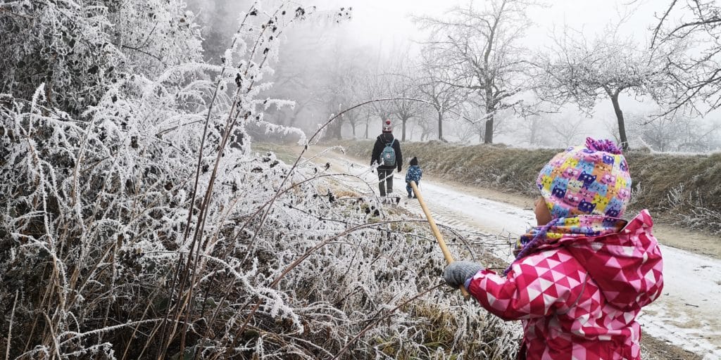 microadventureforkids die bäume vom schnee befreien