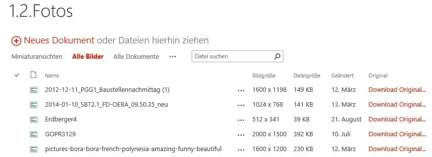 SharePoint Bildbibliothek mit Link zum Download des Original